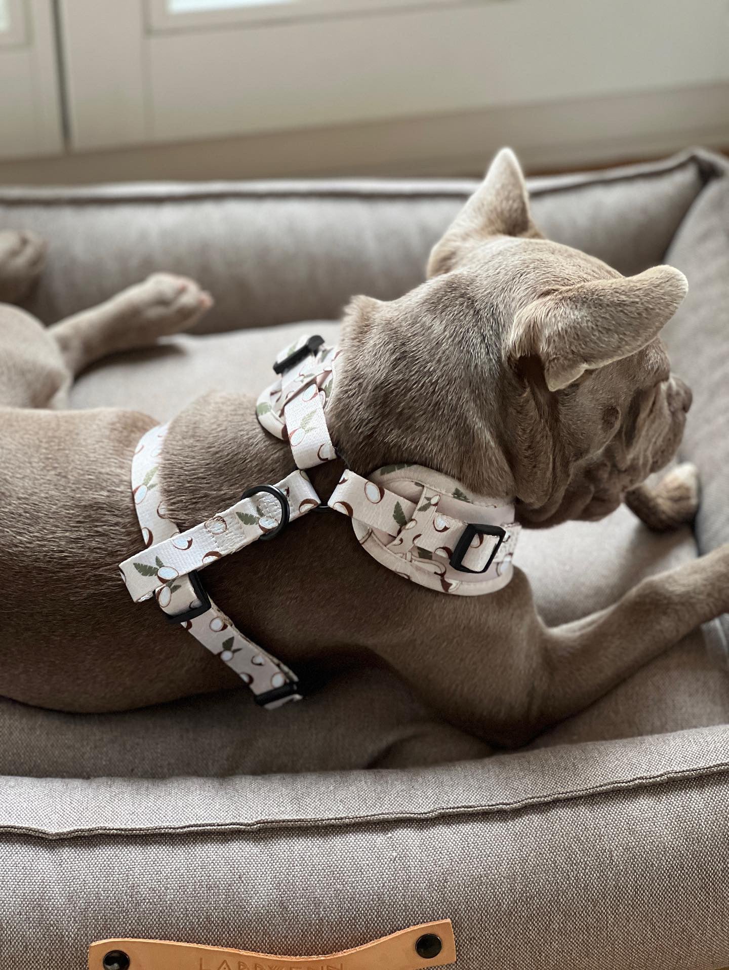 Softgeschirr Coconut