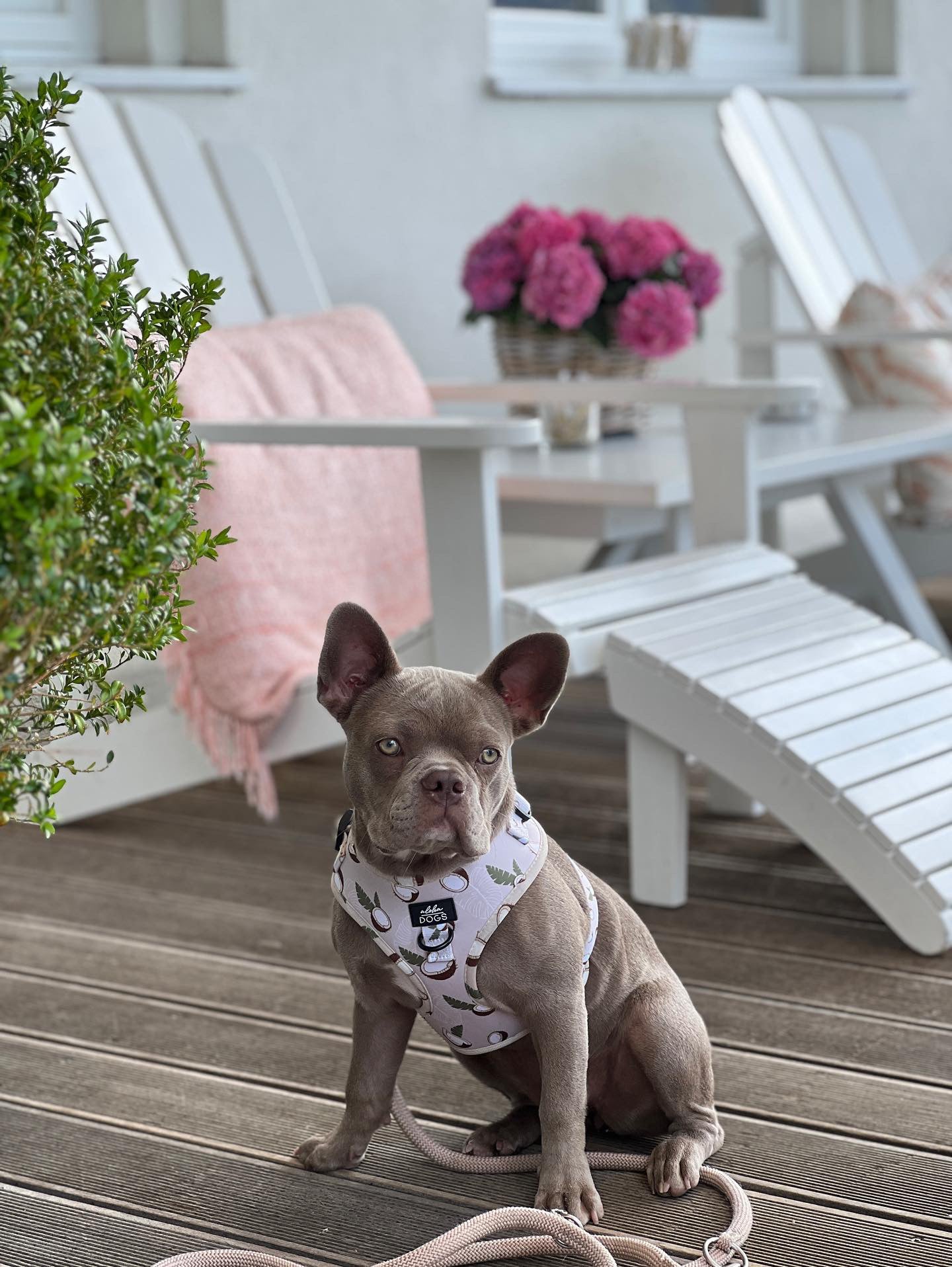 Softgeschirr Coconut