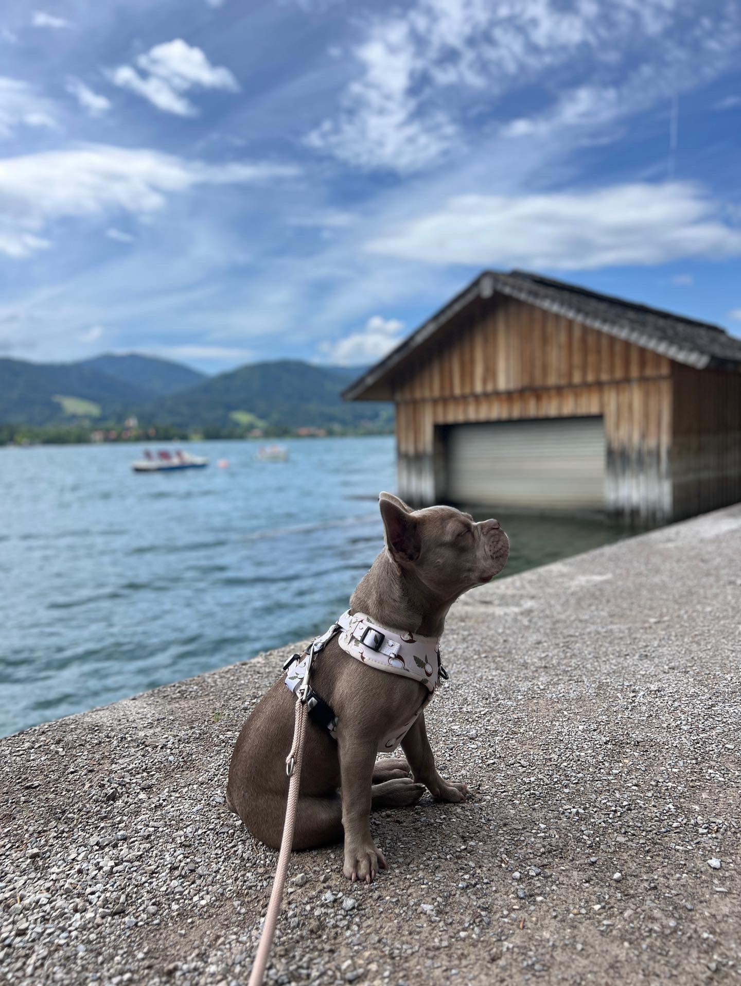 Softgeschirr Coconut