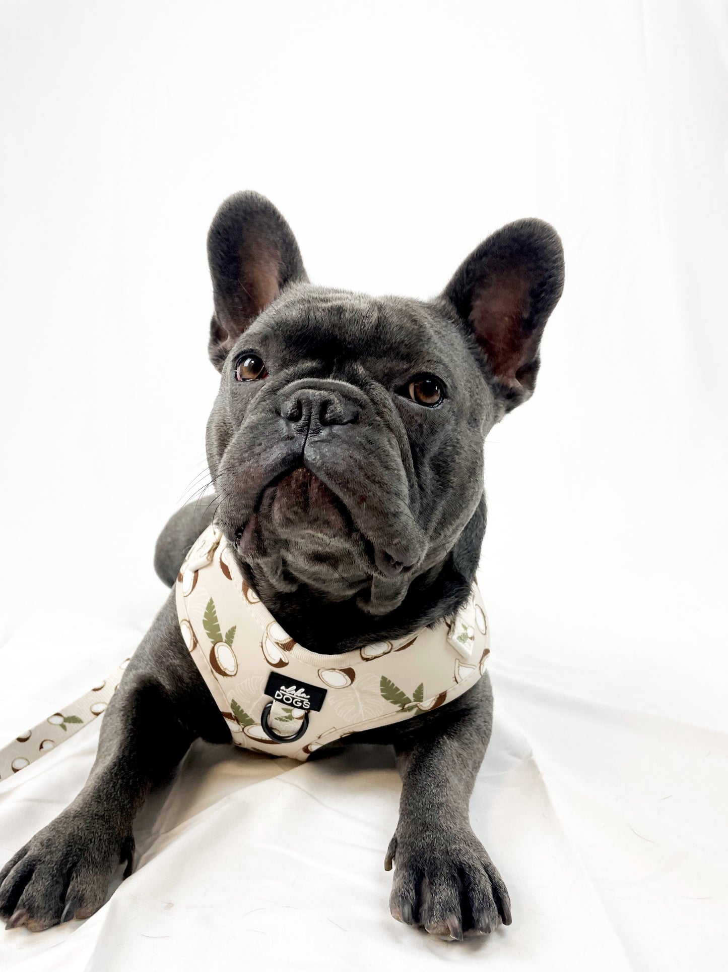 Softgeschirr Coconut