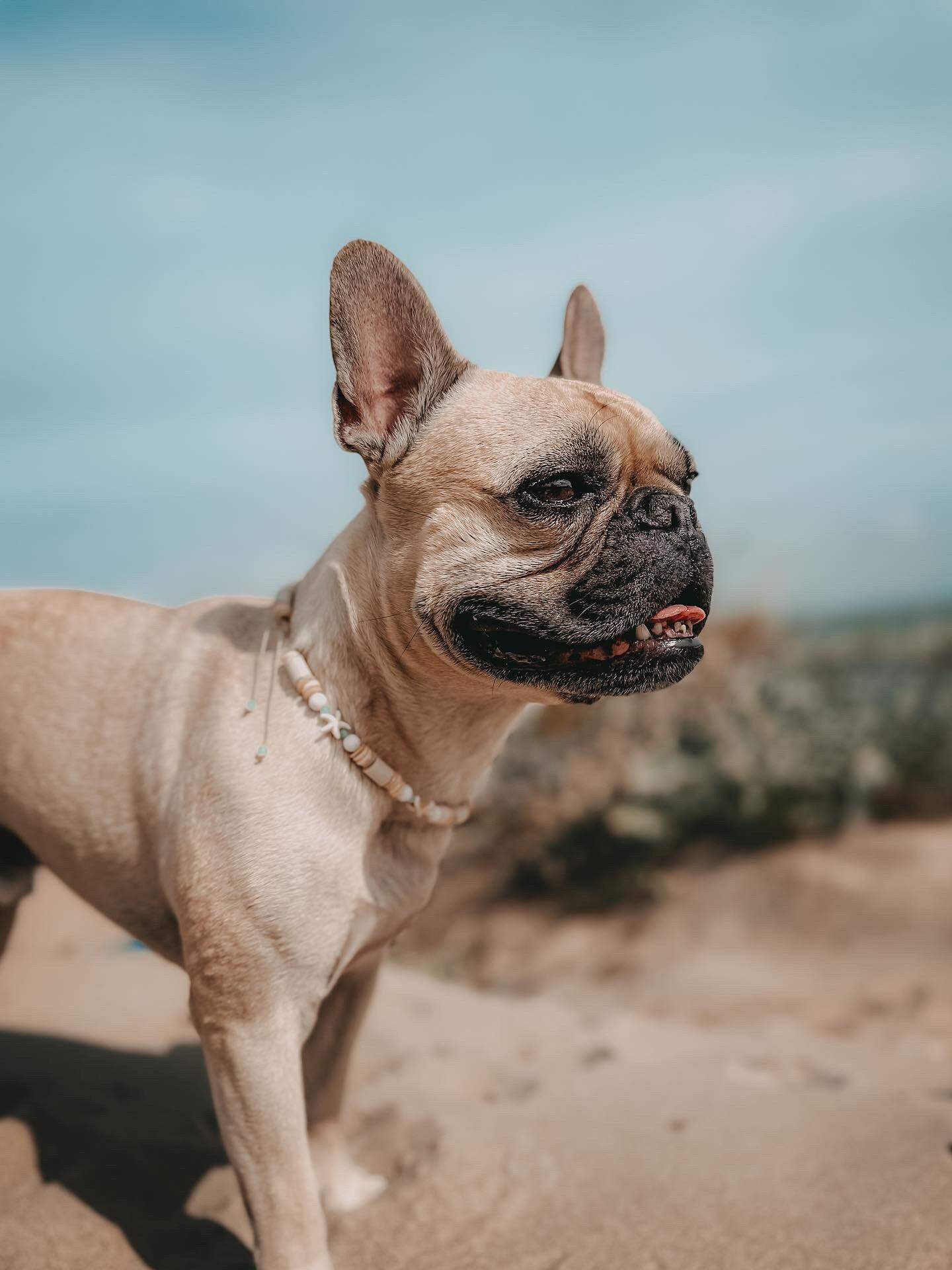 EM Keramik Kette Aloha Maui